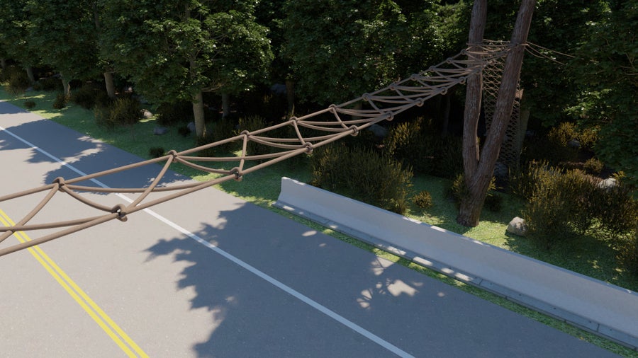 Rain Forest Canopy Bridges Aid Slow Lorises, Gibbons and Other